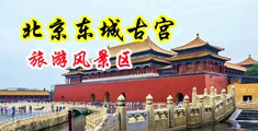 魅族黄片在中国北京-东城古宫旅游风景区